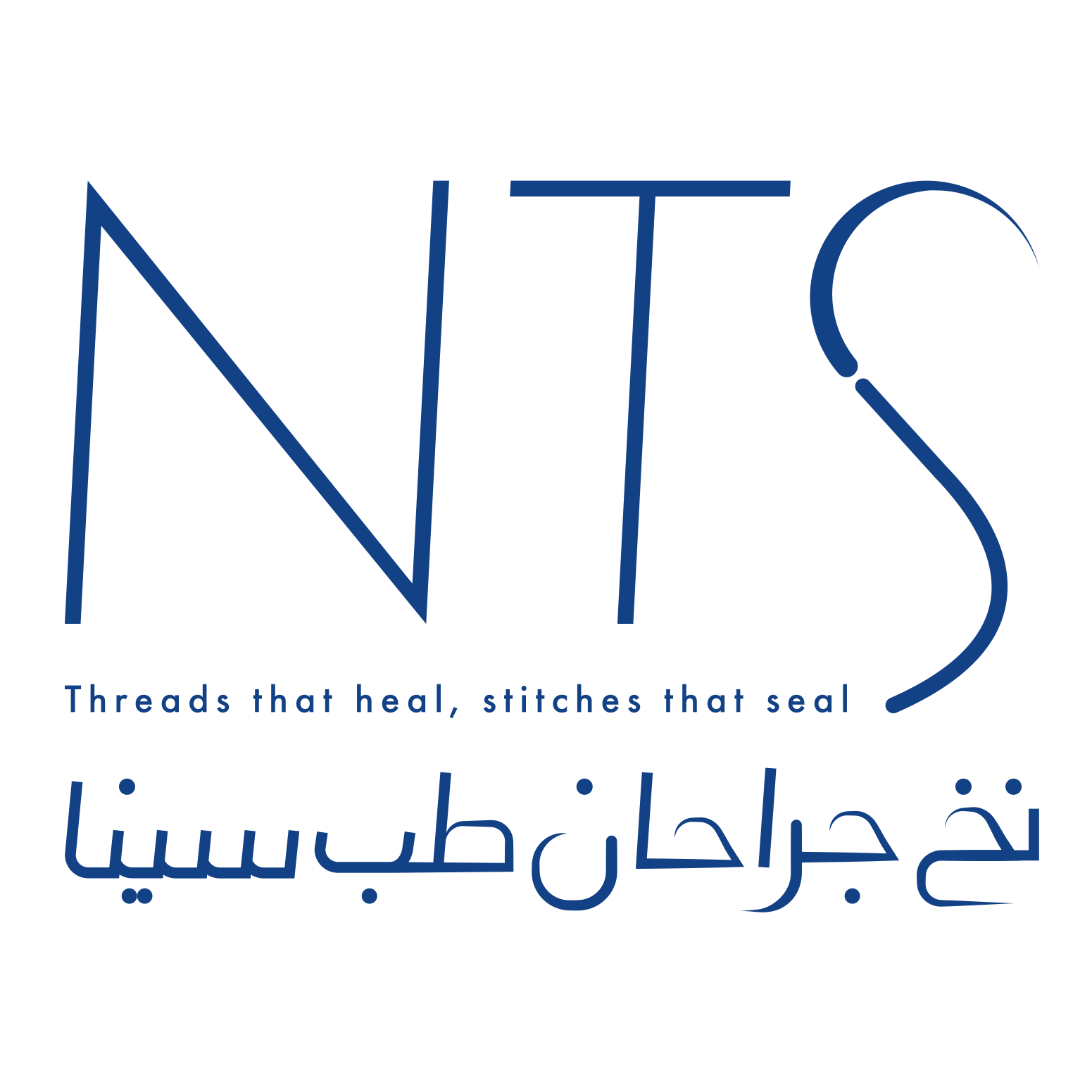  Logo Nts
