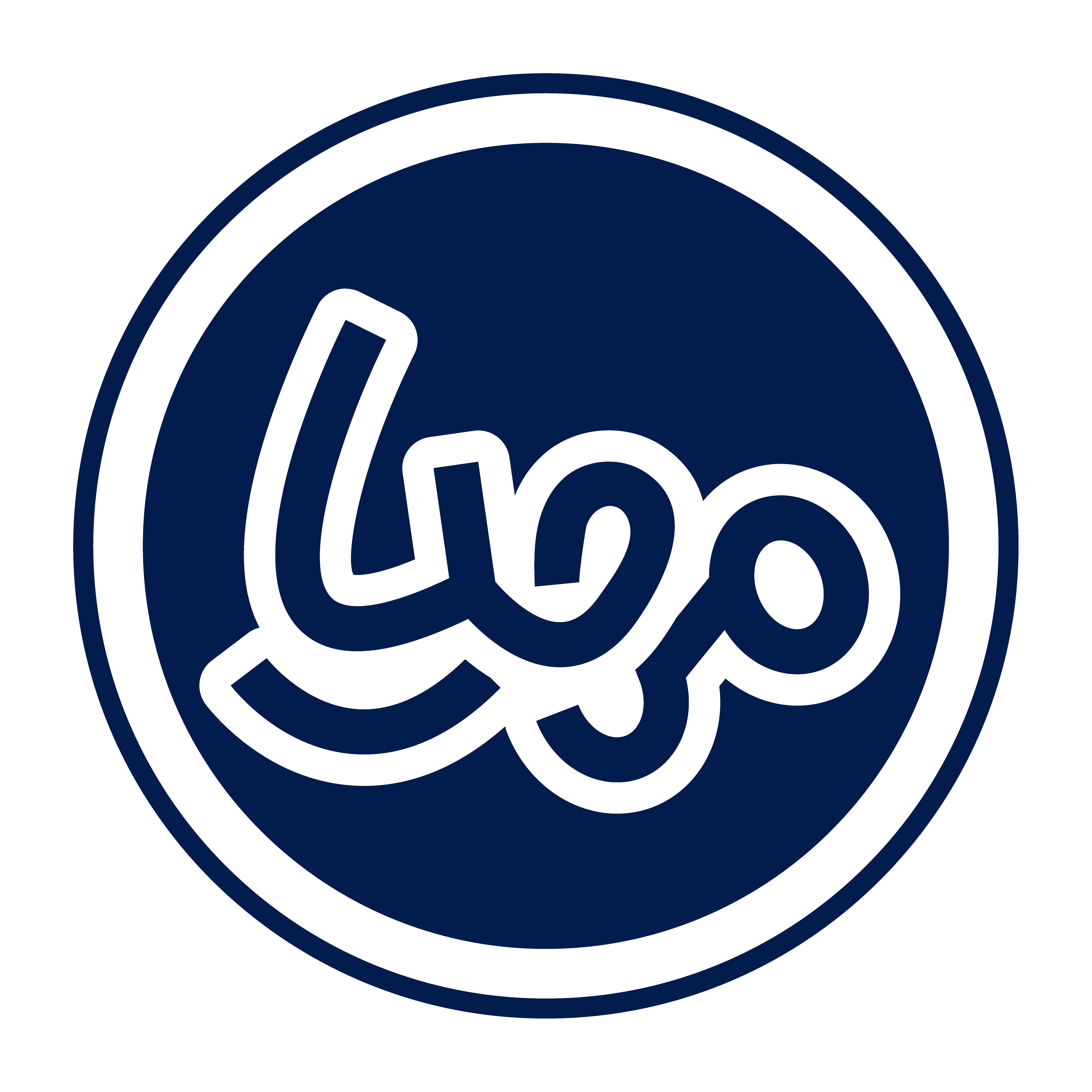 Logo 30